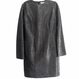 H&M Shiny Gray Long Sleeve Dress